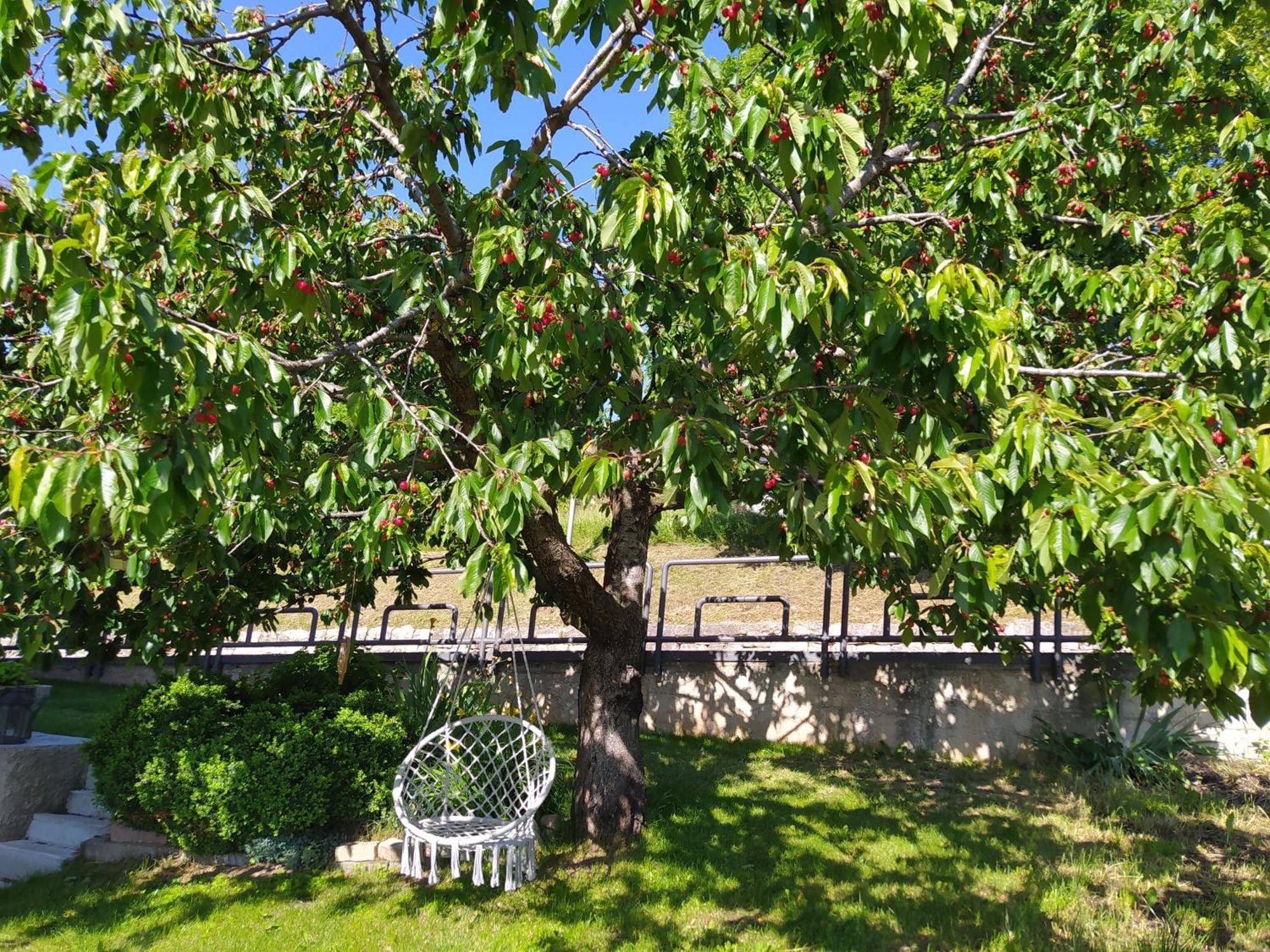Casa Zucol Apartment Sarnonico Екстериор снимка